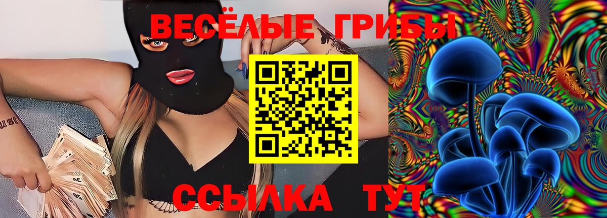 Галлюциногенные грибы GOLDEN TEACHER Орёл