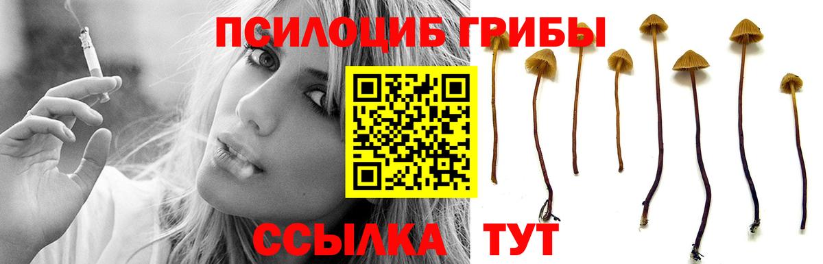 Орёл  Галлюциногенные грибы GOLDEN TEACHER  Вход с VPN 